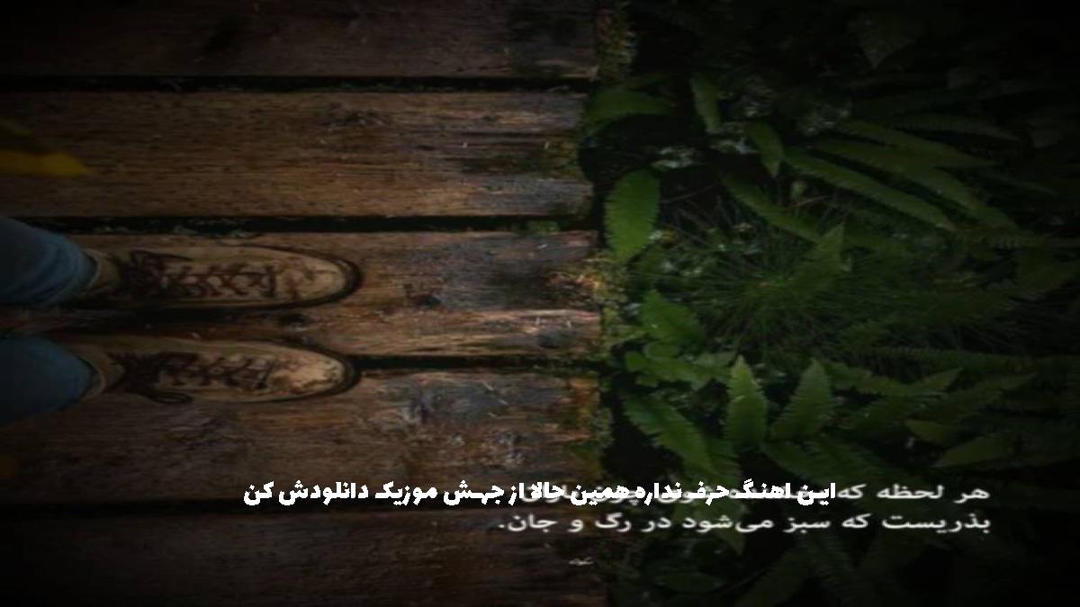 عکس آهنگ تو بری خاطره هات یک شبه آبم میکنه از معین و بهنام بانی